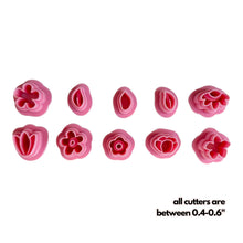 Load image into Gallery viewer, Mini Floral Cutter Pack (Pack of 10)